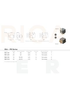 Ionnic PB1524R Relay Power N/O 24V 30A Resistor